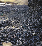 Tire Dump