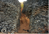 Tire Dump